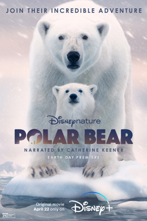 Polar Bear (2022) Polar Bear (2022)