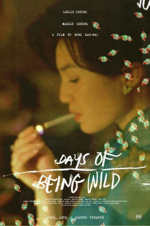 Days of Being Wild (1990) วันที่หัวใจรักกล้าตัดขอบฟ้า Days of Being Wild (1990) วันที่หัวใจรักกล้าตัดขอบฟ้า