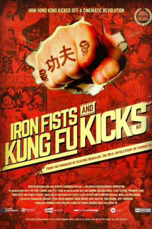 Iron Fists and Kung Fu Kicks (2019) Iron Fists and Kung Fu Kicks (2019)