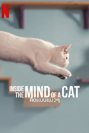 Inside the Mind of a Cat (2022) คิดแบบแมวๆ Inside the Mind of a Cat (2022) คิดแบบแมวๆ