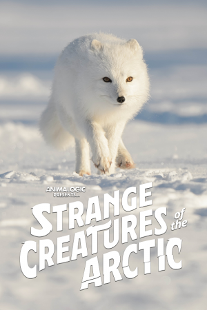 Strange Creatures of the Arctic (2022) Strange Creatures of the Arctic (2022)