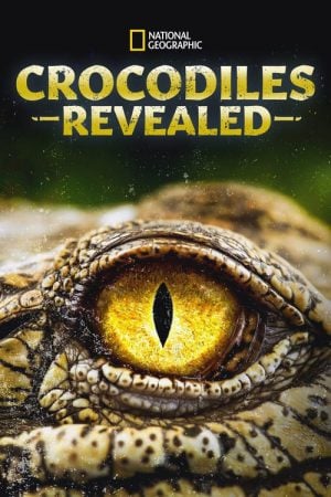 Crocodiles Revealed (2022) Crocodiles Revealed (2022)