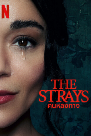The Strays (2023) คนหลงทาง The Strays (2023) คนหลงทาง