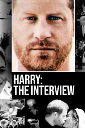 Harry The Interview (2023) Harry The Interview (2023)