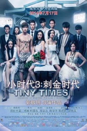 Tiny Times 3 (2014) Tiny Times 3 (2014)