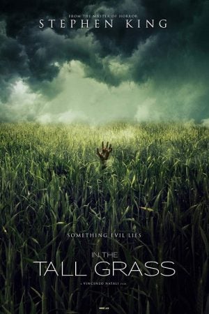 In the Tall Grass (2019) พงหลอนมรณะ In the Tall Grass (2019) พงหลอนมรณะ
