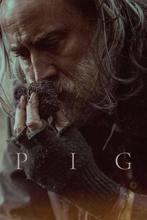 Pig (2021) หมูข้าหาย กับความหมายของชีวิต Pig (2021) หมูข้าหาย กับความหมายของชีวิต