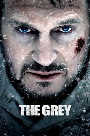 The Grey (2011) ฝ่าฝูงเขี้ยวสยองโลก The Grey (2011) ฝ่าฝูงเขี้ยวสยองโลก