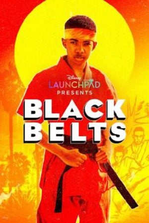 Black Belts (2023) Black Belts (2023)