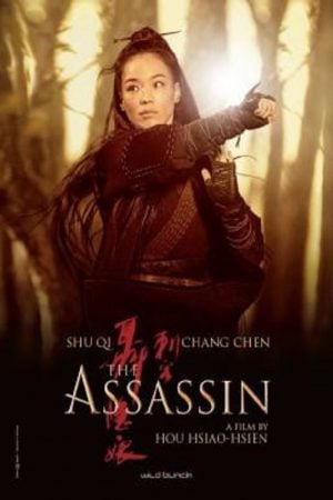 The Assassin (2015) ประกาศิต หงษ์สังหาร The Assassin (2015) ประกาศิต หงษ์สังหาร