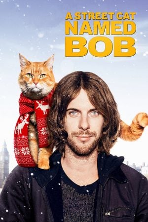 A Street Cat Named Bob (2016) บ๊อบ แมว เพื่อน A Street Cat Named Bob (2016) บ๊อบ แมว เพื่อน