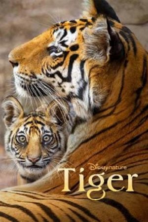 Tiger (2024) Tiger (2024)