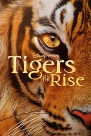 Tigers on the Rise (2024) Tigers on the Rise (2024)