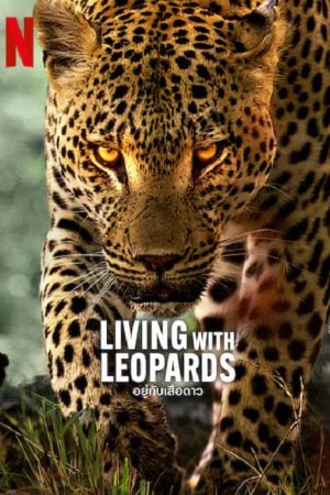 Living with Leopards (2024) อยู่กับเสือดาว Living with Leopards (2024) อยู่กับเสือดาว