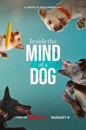 Inside the Mind of a Dog (2024) อ่านใจสุนัข Inside the Mind of a Dog (2024) อ่านใจสุนัข