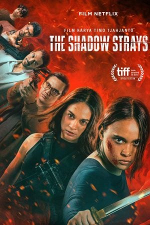 The Shadow Strays นักฆ่าเงาล่าทรชน (2024) The Shadow Strays นักฆ่าเงาล่าทรชน (2024)