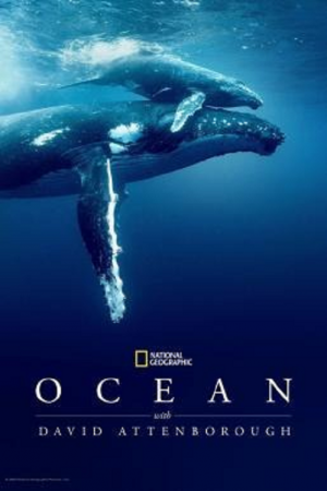 Ocean with David Attenborough (2025) Ocean with David Attenborough (2025)