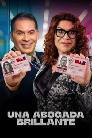 A Bright Lawyer (2025) A Bright Lawyer (2025)