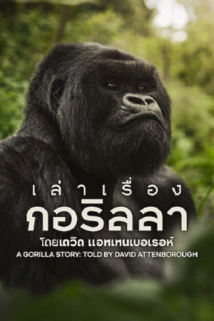 A Gorilla Story (2026) เล่าเรื่องกอริลลา โดยเดวิด แอทเทนเบอเรอห์ A Gorilla Story (2026) เล่าเรื่องกอริลลา โดยเดวิด แอทเทนเบอเรอห์