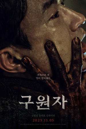 The Favor (2025) The Favor (2025)